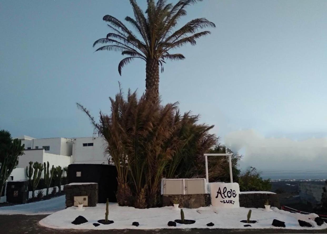 Aloelux Villa ! - Private Villa With Jacuzzi, Cinema ,Massage ,Wonderful View, Art Desing Villa Conil Exteriér fotografie